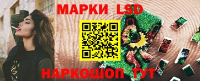 a pvp Свободный