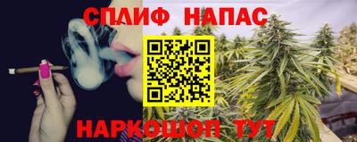 a pvp Свободный