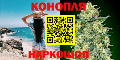 a pvp Свободный