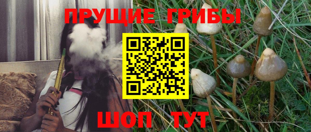 Псилоцибиновые грибы Magic Shrooms Мурино